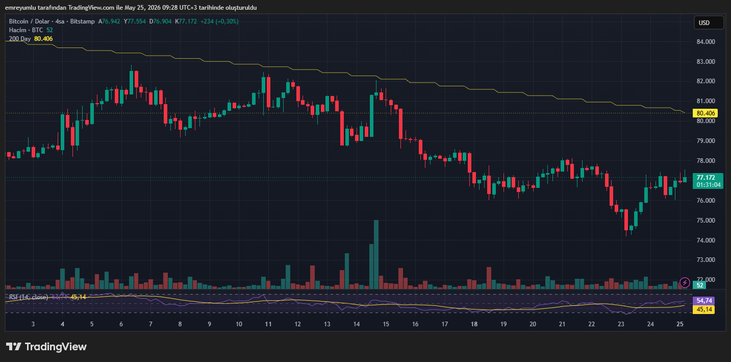 bitcoin grafik