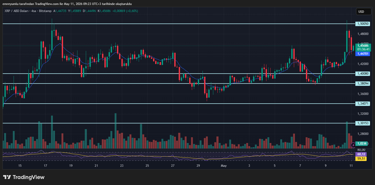 xrp grafik