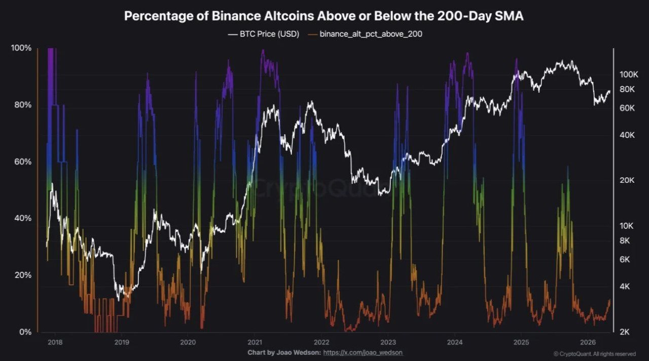 altcoin rallisi