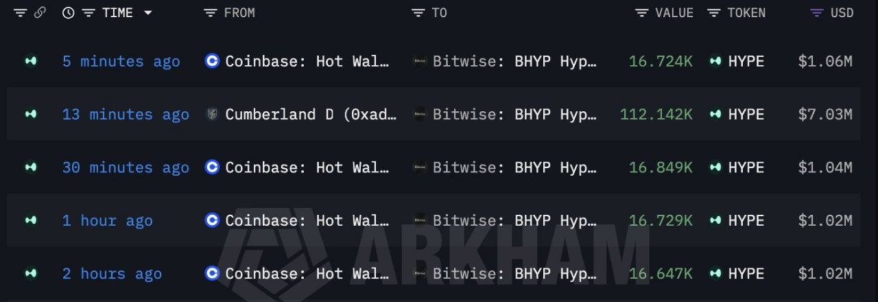 bitwise hype alımı