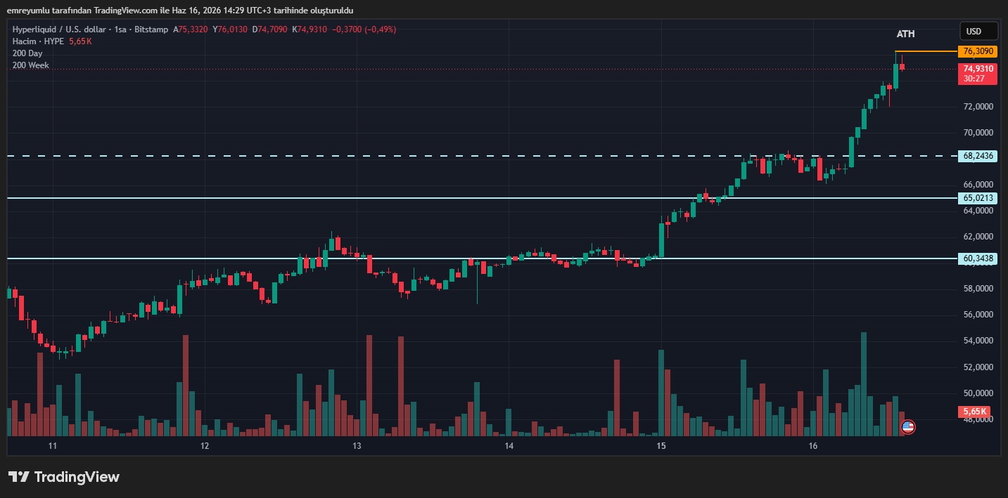 hyperliquid (HYPE) coin grafik