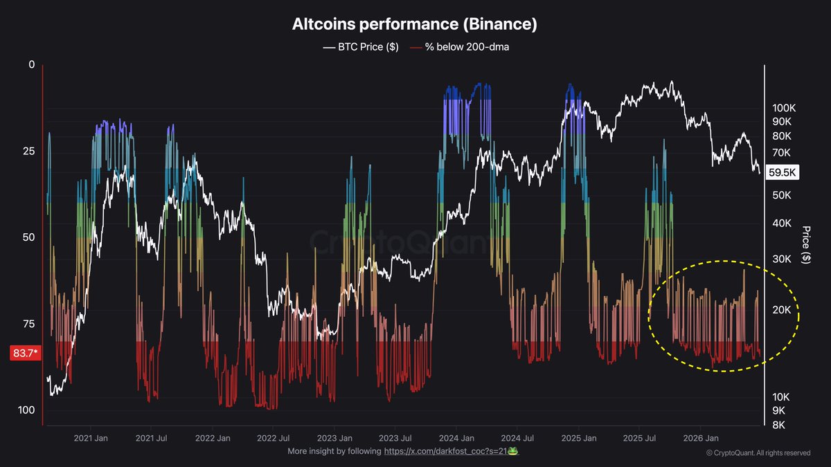 altcoin performans