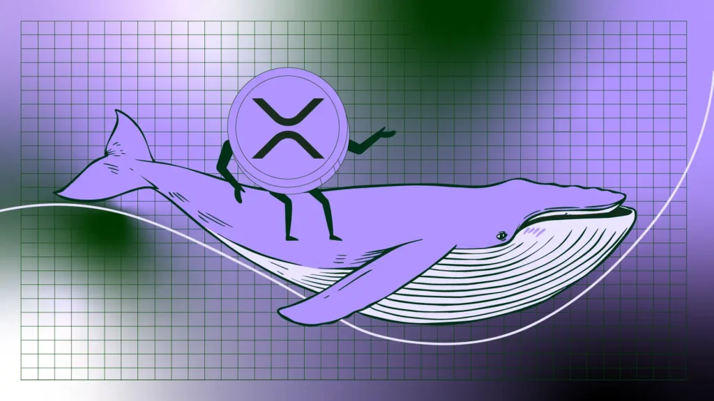 xrp analiz
