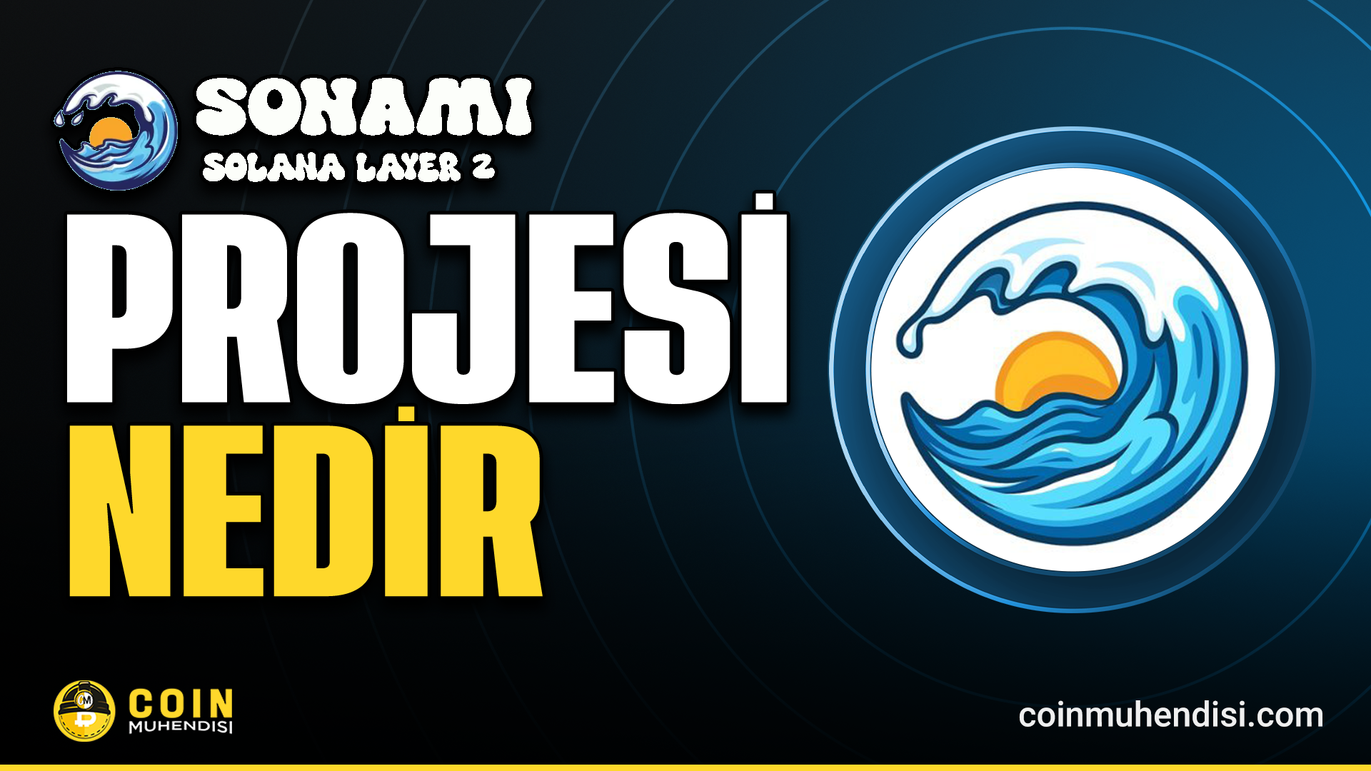SONAMI (SNMI) Nedir?