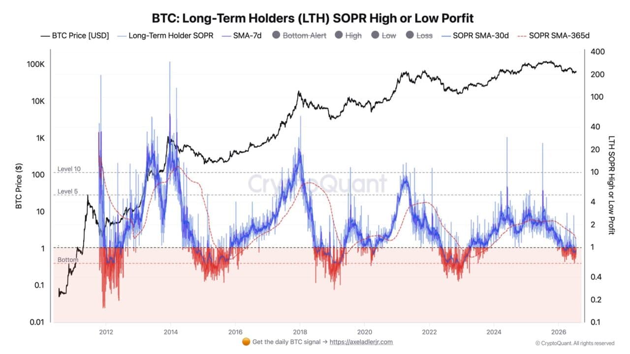bitcoin long time holder