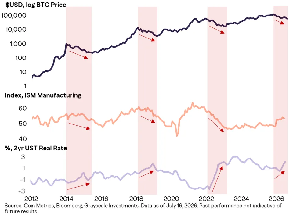 bitcoin metric