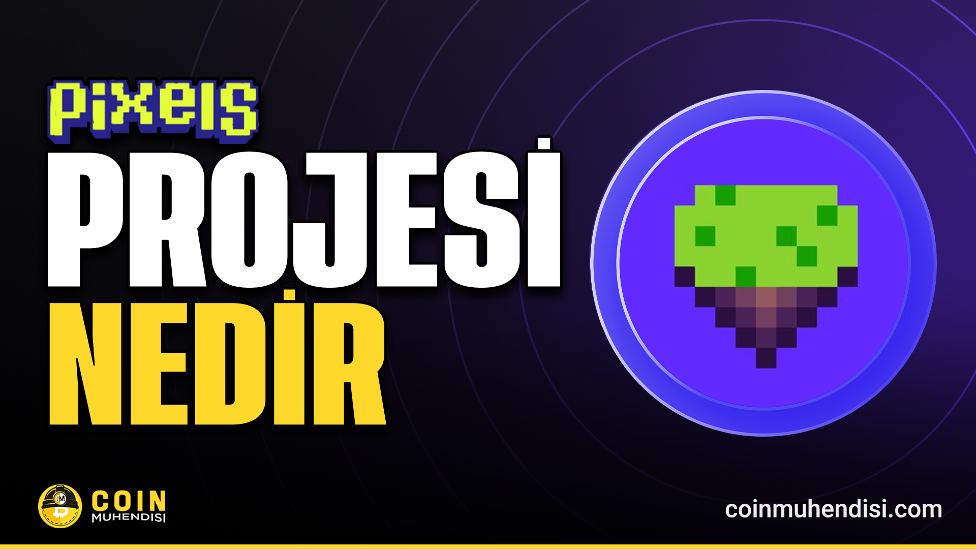 Pixels (PIXEL) nedir?