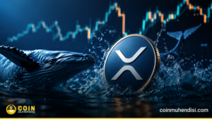 XRP Balinalarında %280’lik Hareketlilik: Neler Oluyor?