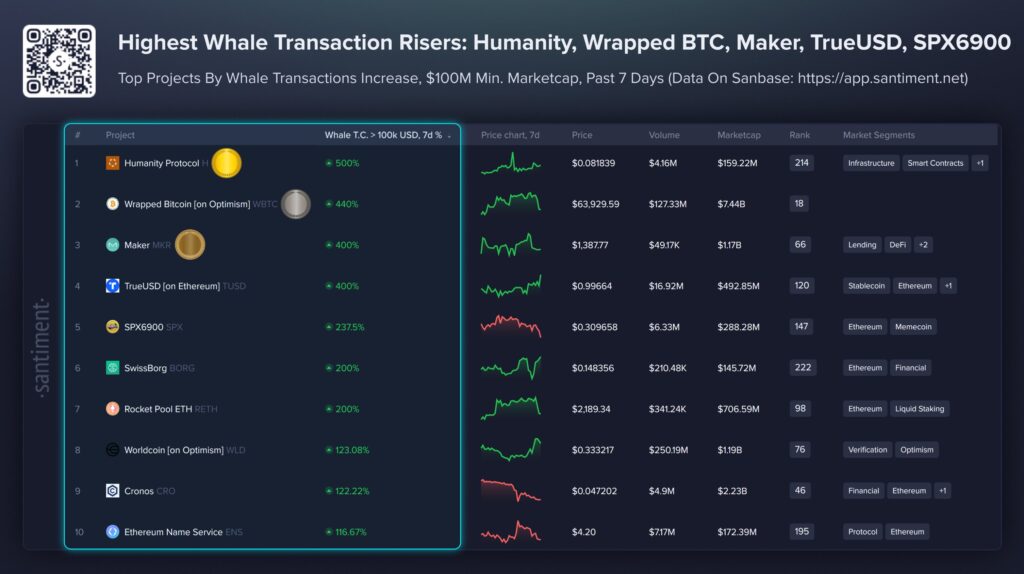 balina altcoin listesi