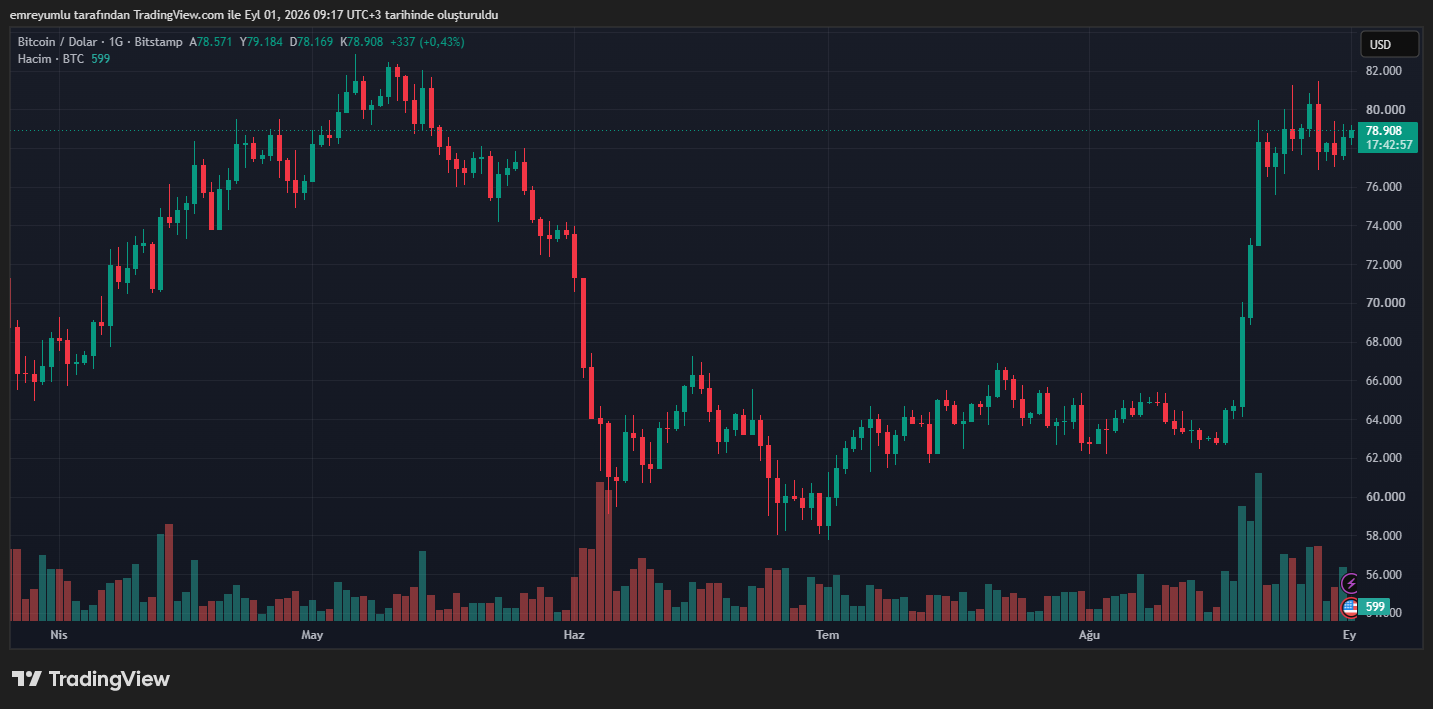 bitcoin grafik