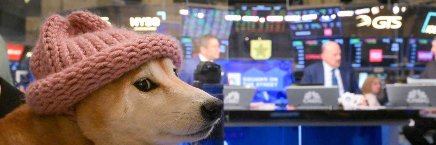 dogwifhat (WIF) 2