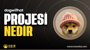 dogwifhat (WIF) Nedir?