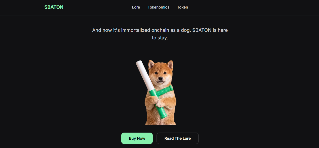 baton coin (BATON) nedir